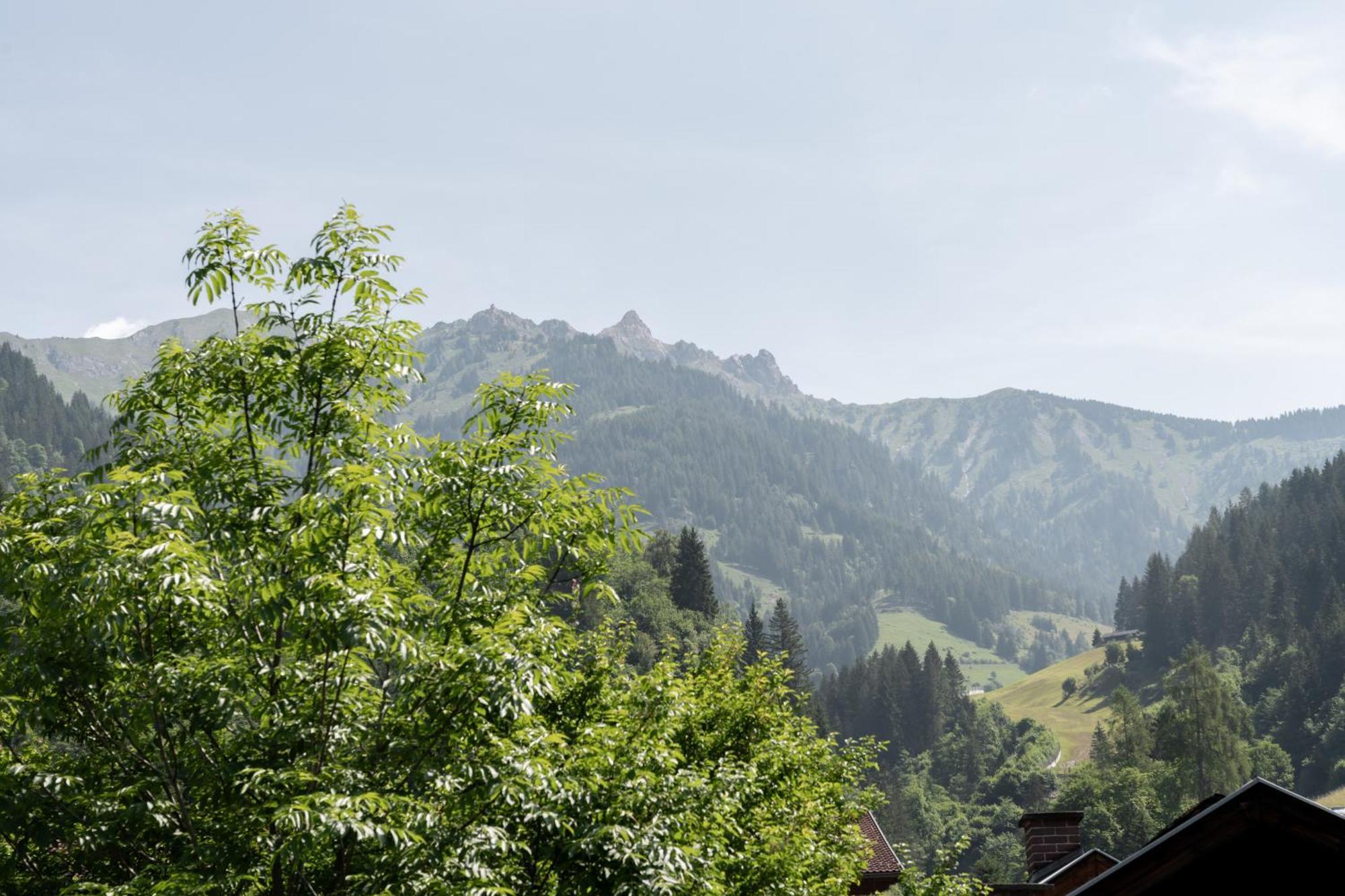 Am Muhlbach - Einfach Sein Mit Gemeinschaftskuche Und Freien Eintritt In Das Solarbad Dorfgastein Eksteriør billede