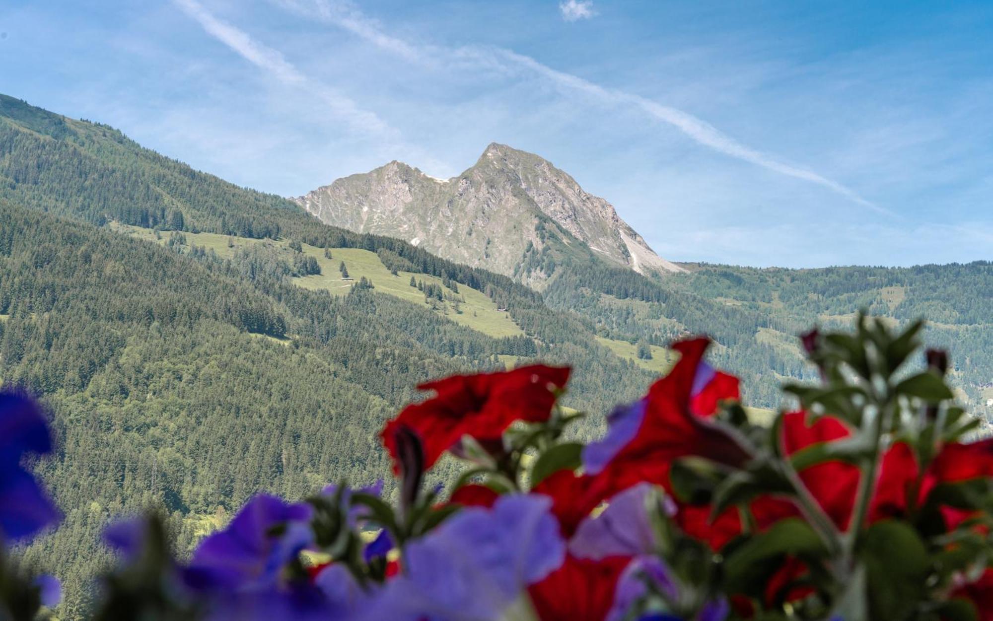 Am Muhlbach - Einfach Sein Mit Gemeinschaftskuche Und Freien Eintritt In Das Solarbad Dorfgastein Eksteriør billede